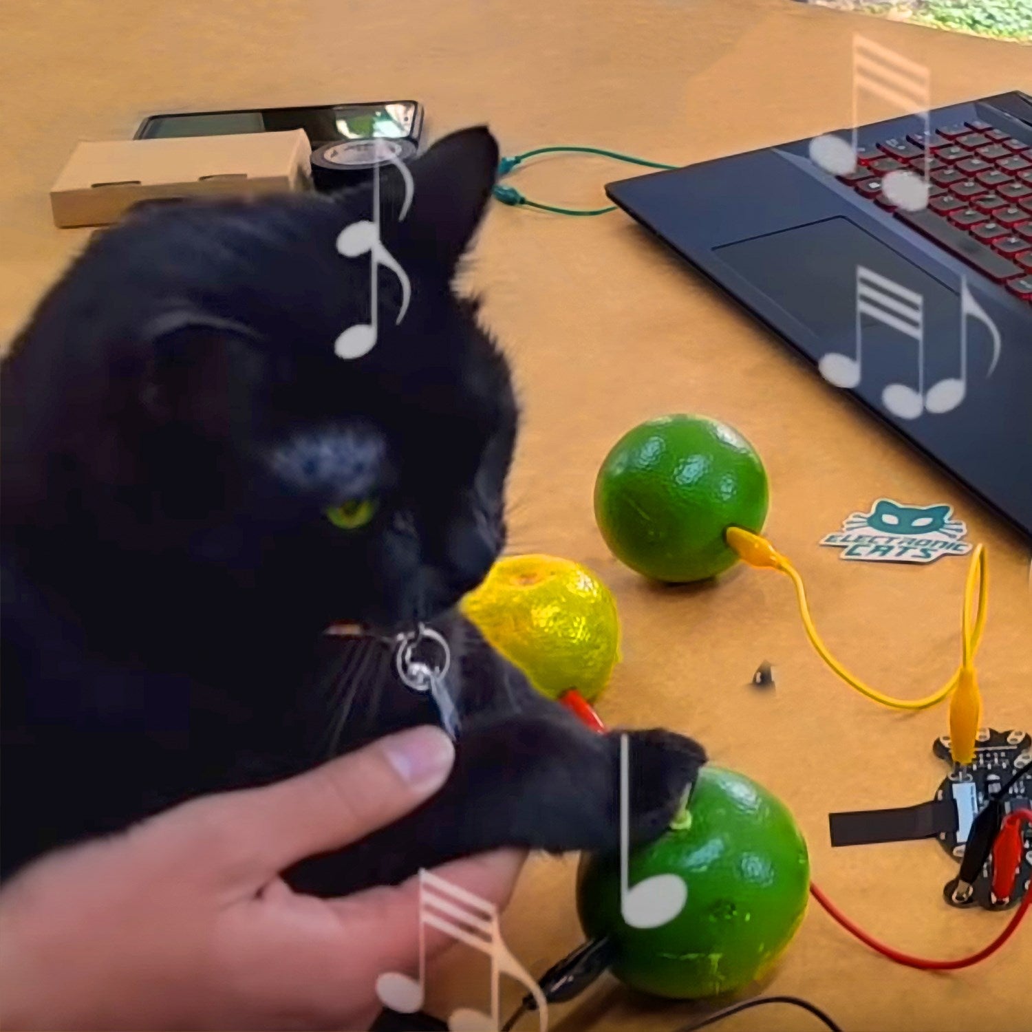 Proyectos maker para tu gato - 330ohms