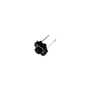 Push button - 2 terminales